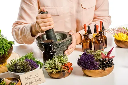 VivaSlim ingredients